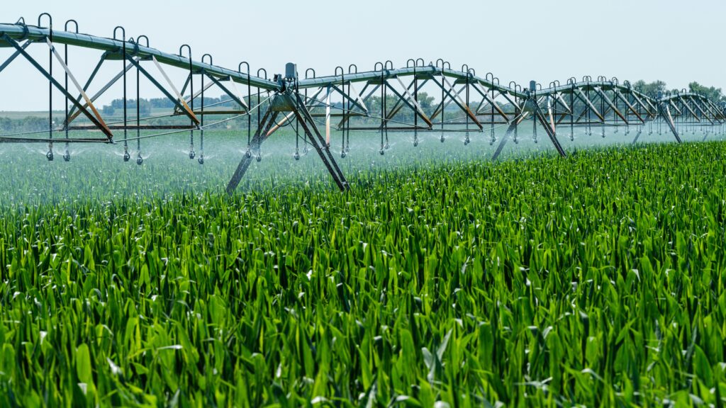 agriculture_in_up_and_bihar