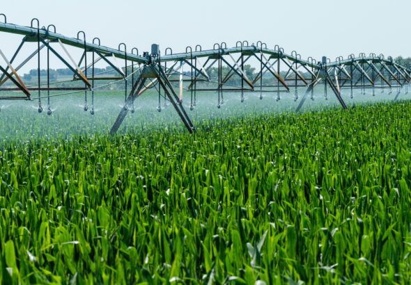 agriculture_in_up_and_bihar