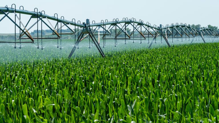 agriculture_in_up_and_bihar