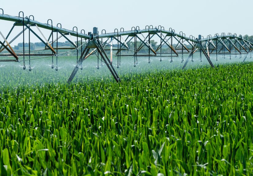 agriculture_in_up_and_bihar