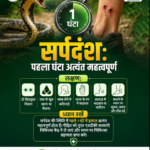 First hours of snakebite is critical