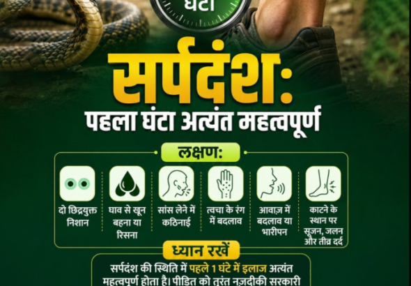First hours of snakebite is critical